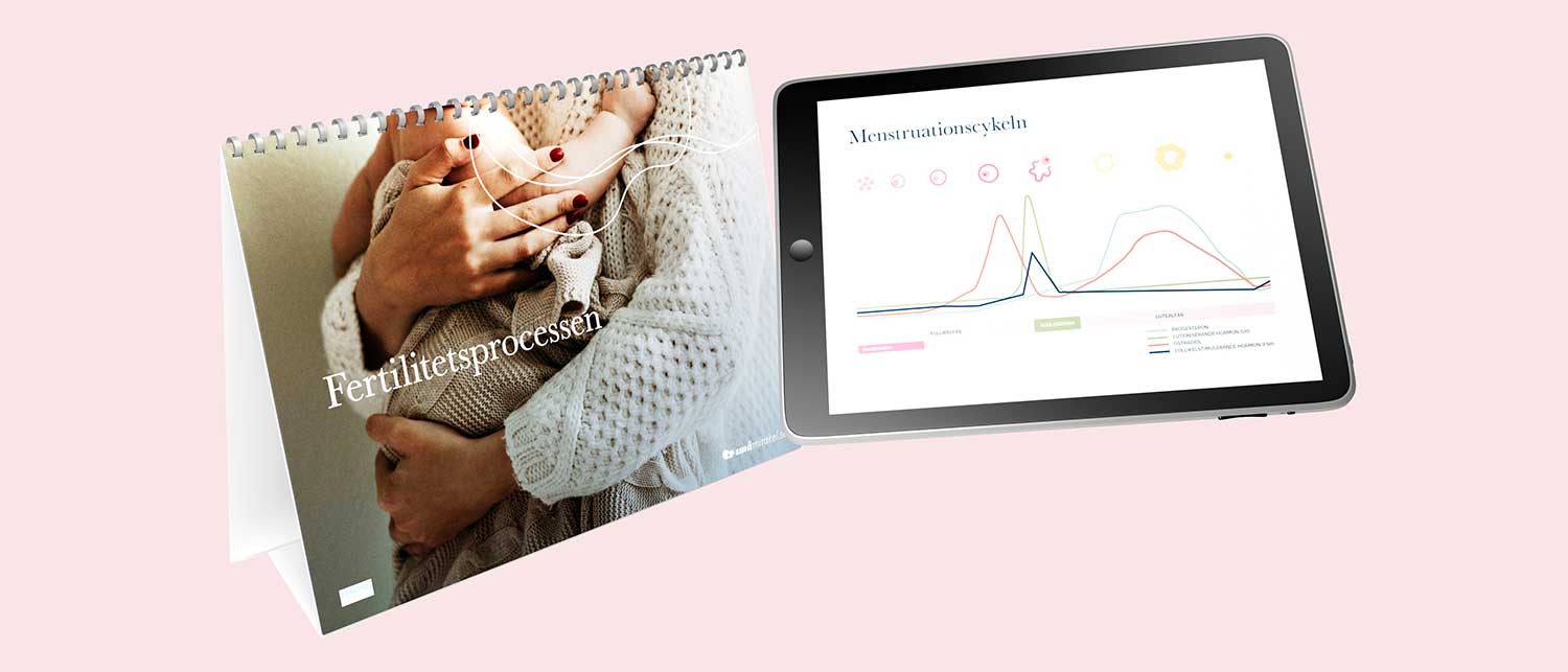 Flip-overn Fertilitetsprocessen bredvid en surfplatta som visar menstruationscykeln